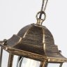 Уличный подвесной светильник Ambrella light Street ST2031