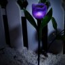Светильник на солнечных батареях (UL-00004278) Uniel Promo USL-C-453/PT305 Purple Tulip