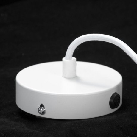 Подвесной светильник с перьями Lussole Loft Cuscino GRLSP-8361