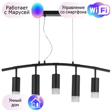 LR7353738721 Подвесной светильник Rullo Lightstar с поддержкой Маруся (комплект из 571735+214437-3+214487-2+202431-5)