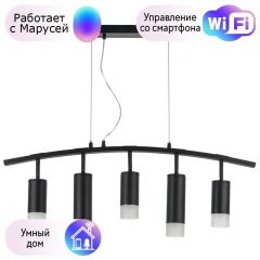 LR7353738721 Подвесной светильник Rullo Lightstar с поддержкой Маруся (комплект из 571735+214437-3+214487-2+202431-5)