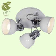 Спот Lussole Lgo GRLSP-9956