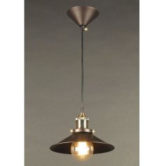 Подвесной светильник Citilux Эдисон CL450101