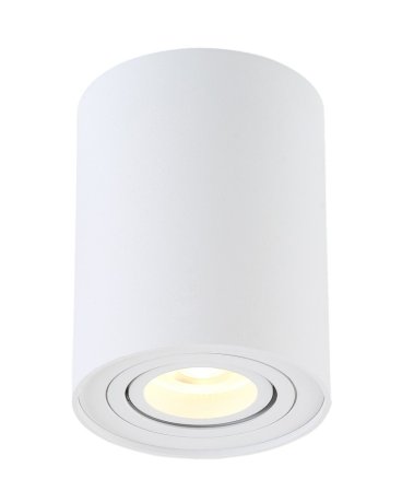 Потолочный светильник Crystal Lux CLT 410C1 WH