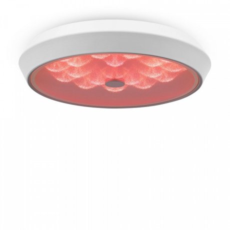 Потолочный светодиодный светильник с пультом ДУ Freya Cells FR10012CL-L24W
