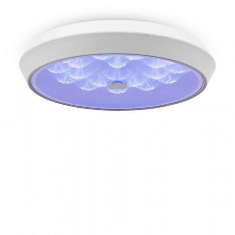 Потолочный светодиодный светильник с пультом ДУ Freya Cells FR10012CL-L24W