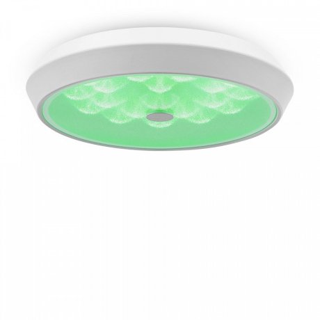 Потолочный светодиодный светильник с пультом ДУ Freya Cells FR10012CL-L24W