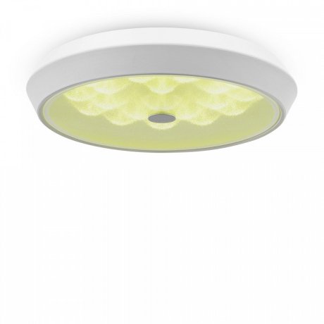 Потолочный светодиодный светильник с пультом ДУ Freya Cells FR10012CL-L24W