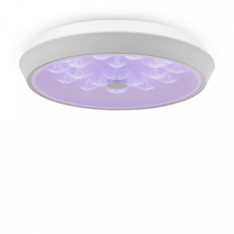 Потолочный светодиодный светильник с пультом ДУ Freya Cells FR10012CL-L24W