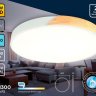 Потолочный светильник Ambrella light Orbital Design FZ1300