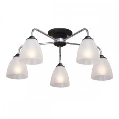 Люстра потолочная Vitaluce V3946-1/5PL