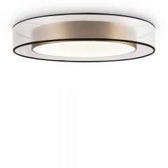 Потолочный светильник с пультом ДУ Freya Zoticus FR6005CL-L48G