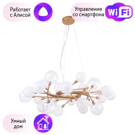 Подвесная люстра Favourite Babylon с поддержкой Алиса 2515-15P-A