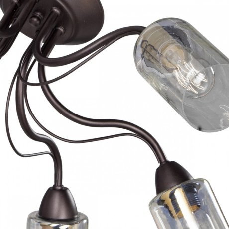 V3744-8/6PL Потолочная люстра Vitaluce