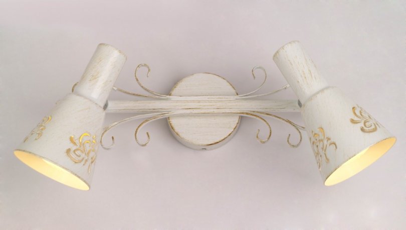 Спот Citilux Дункан CL529522