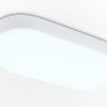 Накладной влагозащищенный светильник Ambrella light Street ST8666