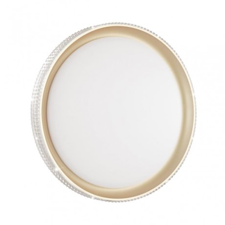 Настенно-потолочный светодиодный диммируемый светильник с пультом ДУ Sonex Shiny 3054/EL