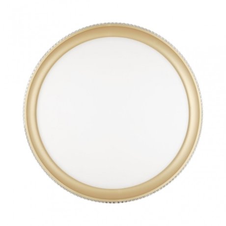 Настенно-потолочный светодиодный диммируемый светильник с пультом ДУ Sonex Shiny 3054/EL