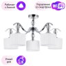 Потолочная люстра Ibiza Arte Lamp с поддержкой Алиса A4038PL-5CC-A