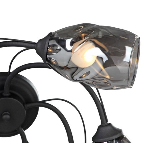 Люстра потолочная Vitaluce V4937-1/5PL