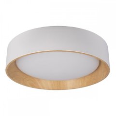 Потолочный светодиодный светильник Loft IT Coin 10202 White