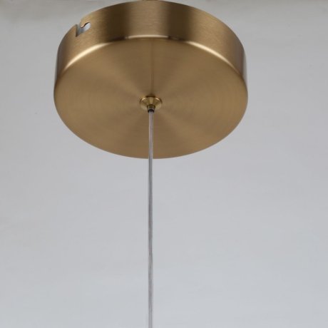 Подвесной светильник с декоративными шарами F-Promo Chantra 4088-1P