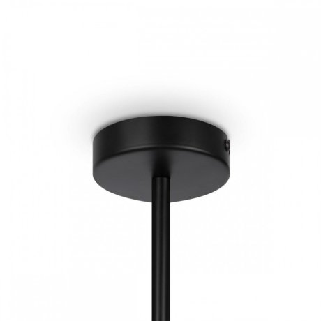 Люстра на штанге Maytoni Memory MOD177PL-04B