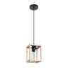 Подвесной светильник Arte Lamp DUBLIN A7025SP-1BK