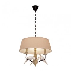 Подвесная люстра Loft IT Loft1029A-2
