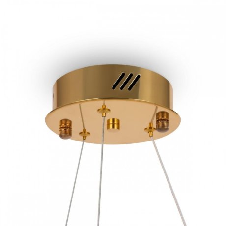 Подвесная диммируемая люстра с пультом ДУ Freya Tier FR5257PL-L25G