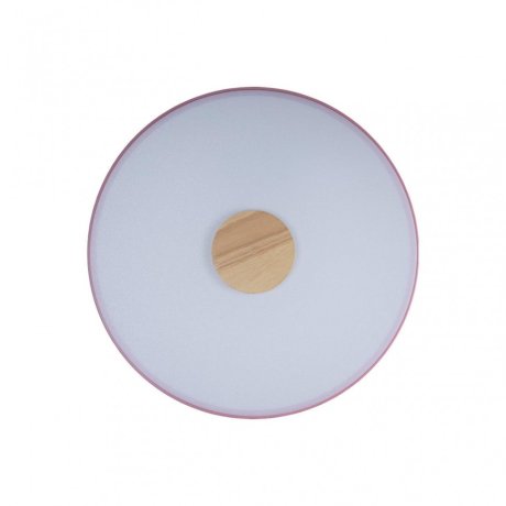 Потолочный светодиодный светильник Axel Loft It 10003/24 Pink