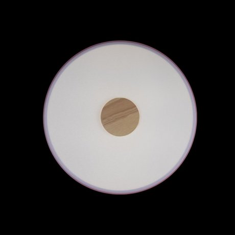 Потолочный светодиодный светильник Axel Loft It 10003/24 Pink