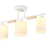 Потолочный светильник Traditional Ambrella light TR9546