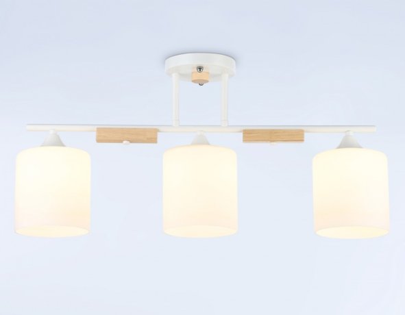 Потолочный светильник Traditional Ambrella light TR9546