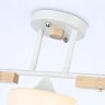 Потолочный светильник Traditional Ambrella light TR9546