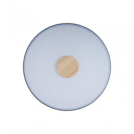 Потолочный светодиодный светильник Axel Loft It 10003/24 Grey