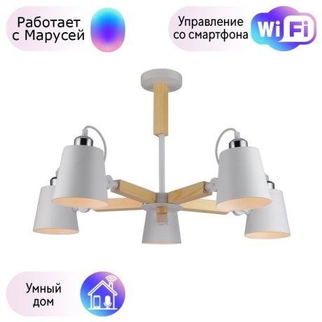 Потолочная люстра Arte Lamp с поддержкой Маруся A7141PL-5WH-М