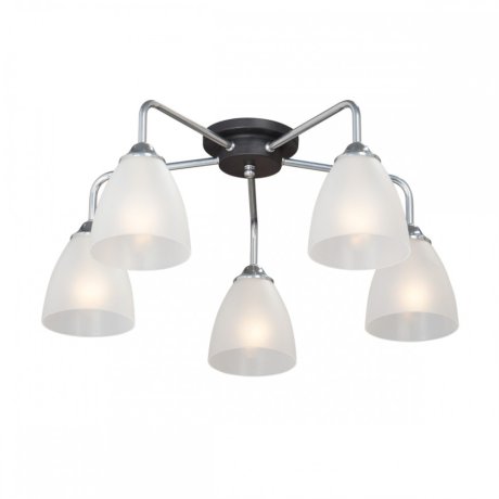 Потолочная люстра Vitaluce V4500-9/5PL