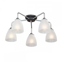 Потолочная люстра Vitaluce V4500-9/5PL