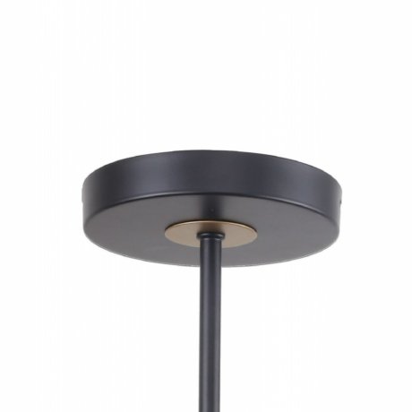 Люстра на штанге F-Promo Rigor 2844-8P