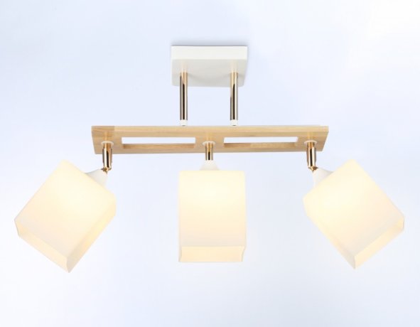 Потолочный светильник Traditional Ambrella light TR9505