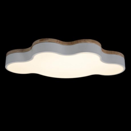 Потолочный светодиодный светильник Axel Loft It 10005/36 White