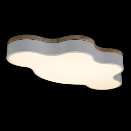 Потолочный светодиодный светильник Axel Loft It 10005/36 White