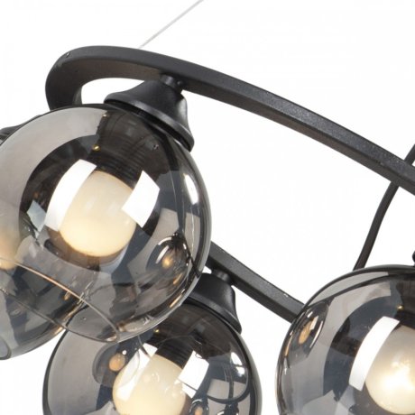 V4481-1/6S Подвесная люстра Vitaluce