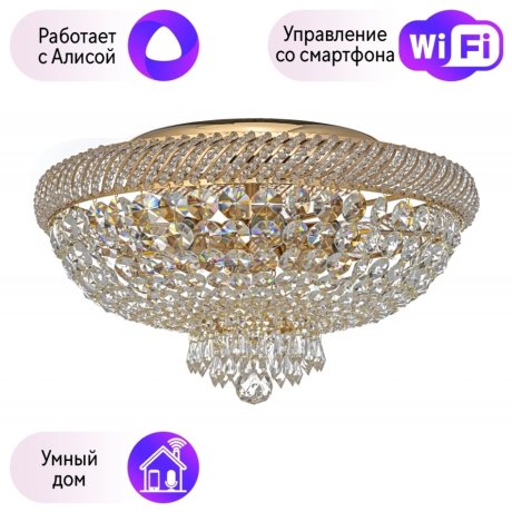 Потолочный светильник Dio DArte Elite с поддержкой Алиса Bari E 1.2.45.100 G-A