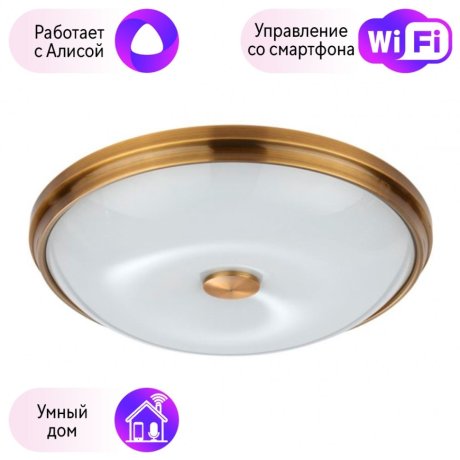 Настенно-потолочный светильник Pelow Odeon Light с поддержкой Алиса 4956/4-A