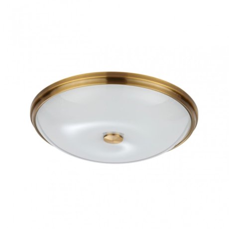 Настенно-потолочный светильник с лампочками Odeon Light Pelow 4956/5+Lamps E14 P45