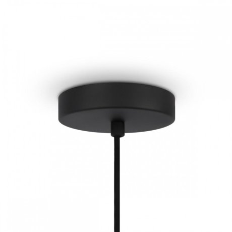 Подвесной светильник Maytoni Modern Roots MOD197PL-01W2