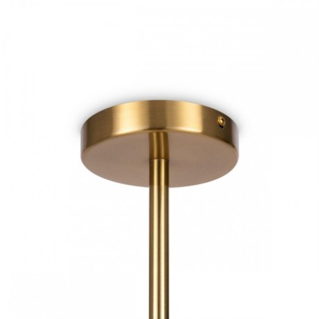 Люстра на штанге Freya Blossom FR5259PL-02BS