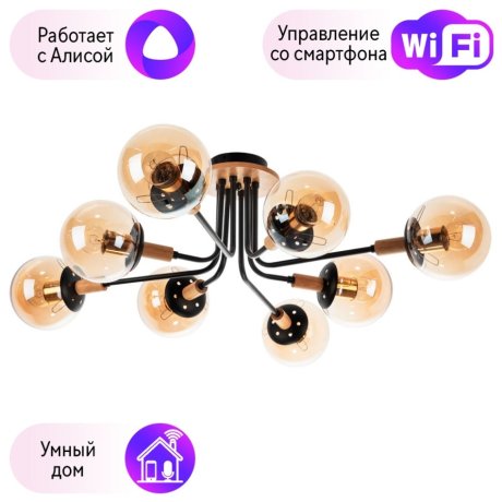 Потолочная люстра Oxford Arte lamp Oxford с поддержкой Алиса A2716PL-8BK-A